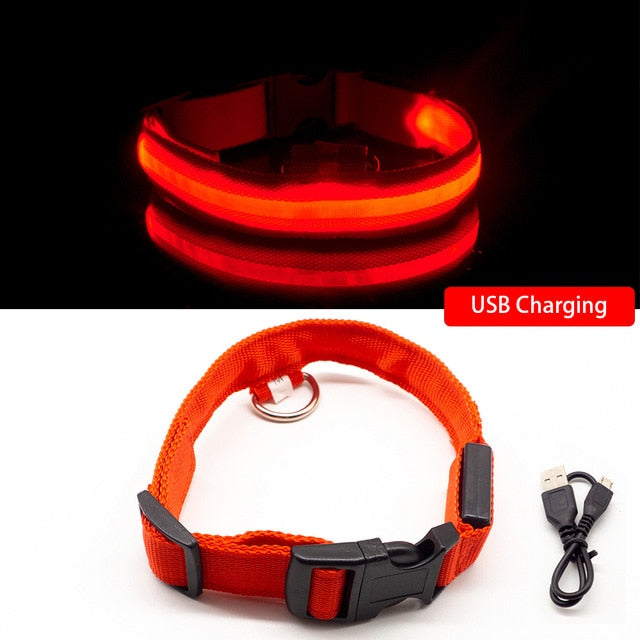 Multi-Colored LED Pet Collar