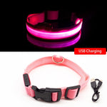 Multi-Colored LED Pet Collar