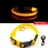 Multi-Colored LED Pet Collar