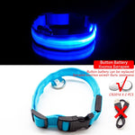 Multi-Colored LED Pet Collar