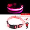 Multi-Colored LED Pet Collar