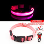 Multi-Colored LED Pet Collar