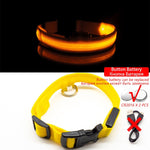 Multi-Colored LED Pet Collar